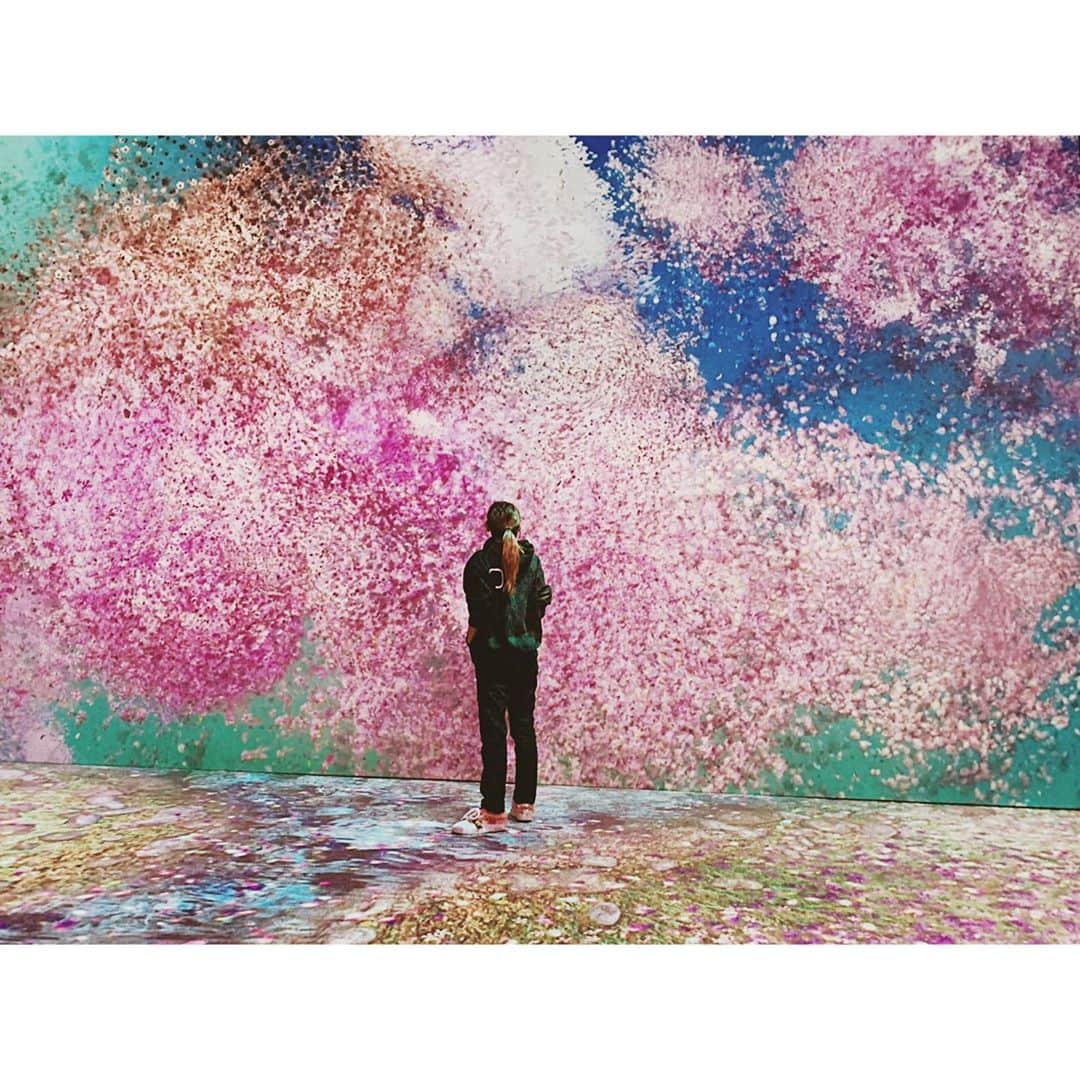 紗栄子さんのインスタグラム写真 - (紗栄子Instagram)「全国通算50万人を動員し、フォトジェニックなイベントとして人気の「FLOWERS BY NAKED」🧚‍♀️✨💘🌈 5感で感じる体感型のアート展で、今年は雪どけから春の訪れを告げる“桜”がテーマとなっており、本日一足先に体験させていただき、イベントにも登壇させていただきました🌸 「FLOWERS BY NAKED 2020 -桜-」は、1月30日(木)~ 3月1日(日)の期間、東京・日本橋三井ホールにて開催しているみたいなので、皆さんも是非、日本が誇るデジタルアートが作り出す空間を体験してきてください💘 #flowersbynaked #私が好きなデジタルアートは#たんぽぽに息を吹きかけると綿毛が飛んでいく#ダンデライオン」1月30日 1時16分 - saekoofficial