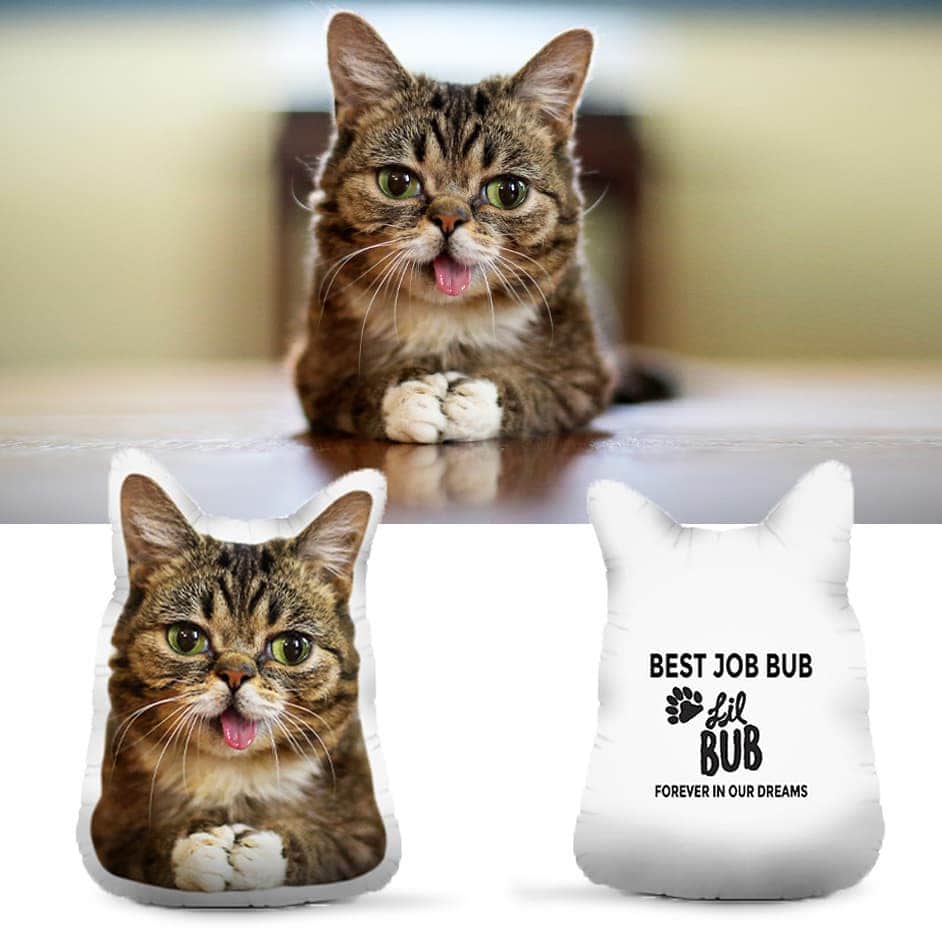 Lil BUBさんのインスタグラム写真 - (Lil BUBInstagram)「These big Commemorative Plush BUB Pillows are now available at the link in our bio (www.lilbub.com/store) and benefit Lil BUB's Big FUND for special needs pets. Thank you for your continued support of BUB's ongoing legacy. #bestjobbub #bubforever #lilbub」1月30日 2時46分 - iamlilbub