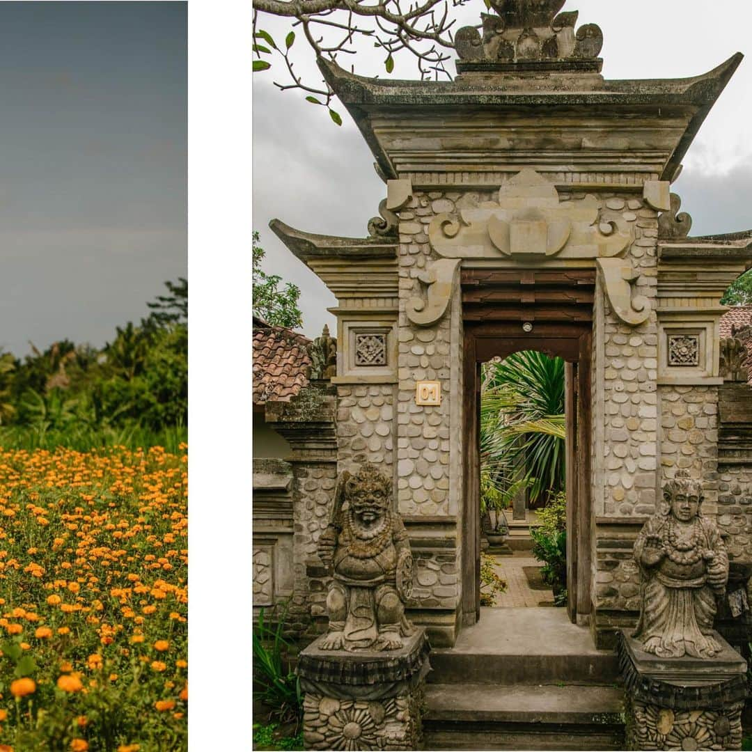 ジョン ハーディーさんのインスタグラム写真 - (ジョン ハーディーInstagram)「Welcome to our world. Tap link in bio to plan your visit to the extraordinary island we've called home since 1975.  #JohnHardy #Bali」1月30日 4時18分 - johnhardyjewelry