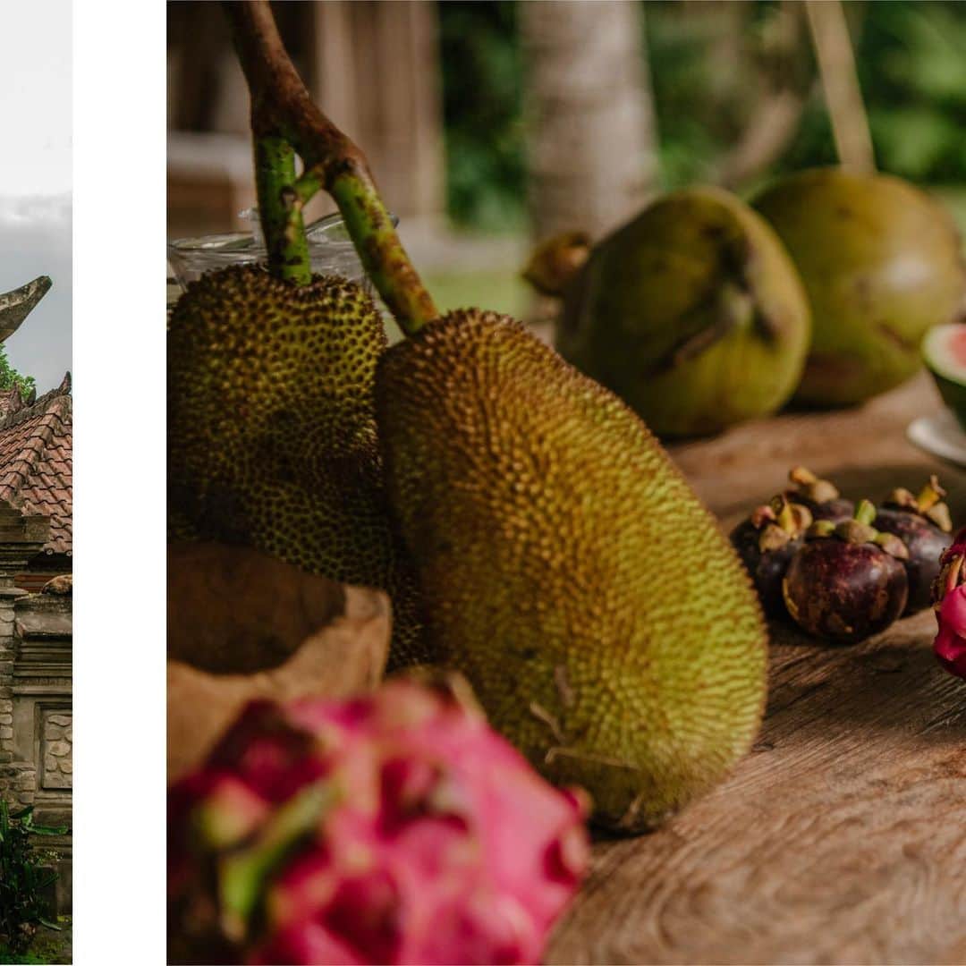 ジョン ハーディーさんのインスタグラム写真 - (ジョン ハーディーInstagram)「Welcome to our world. Tap link in bio to plan your visit to the extraordinary island we've called home since 1975.  #JohnHardy #Bali」1月30日 4時18分 - johnhardyjewelry