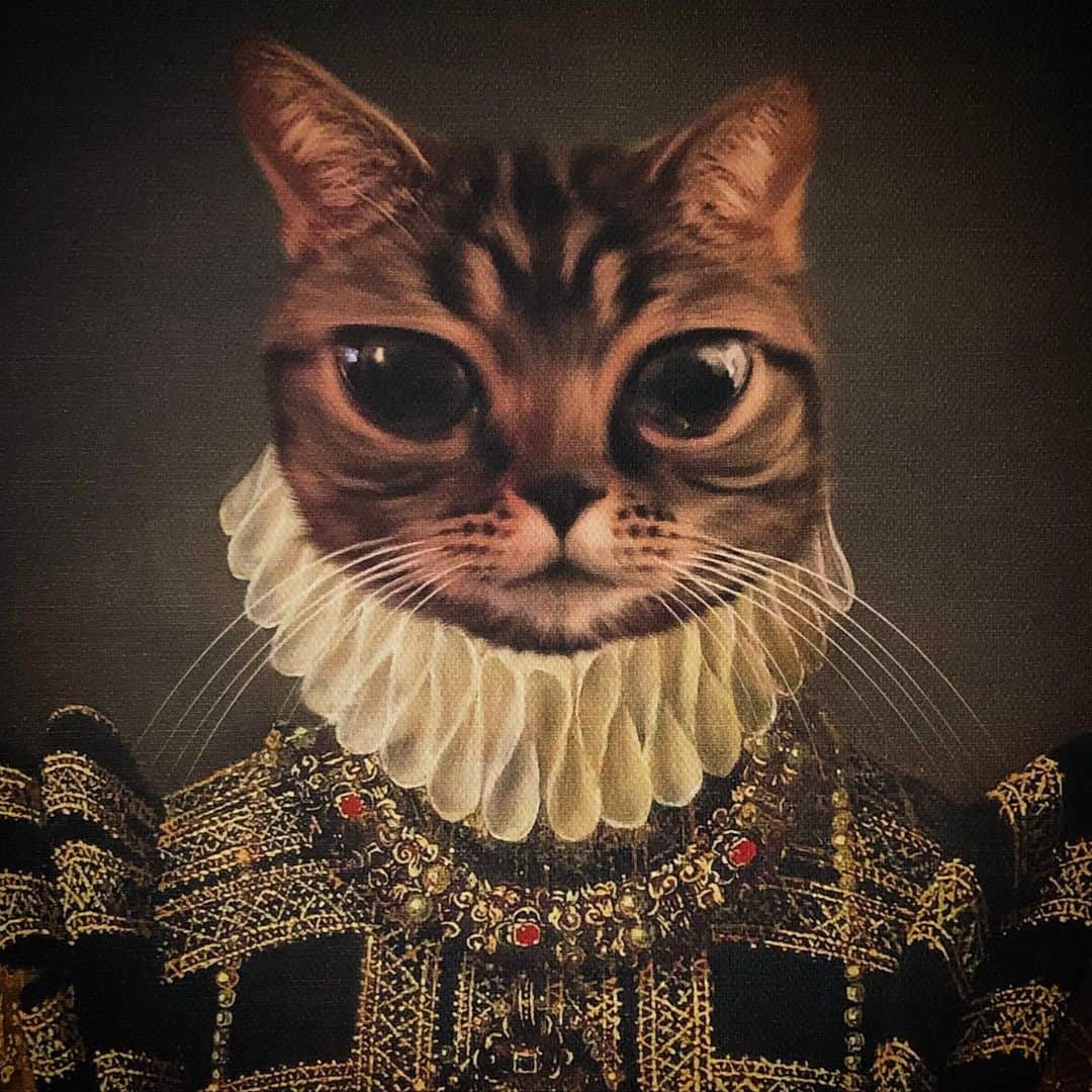 のインスタグラム：「Your Meowness is here! Look at me dressed up so fancy, thanks to @crownandpaw 👑 I love love love my majestic queenly dress, thank you so much!! 💜 ••• Would you like to dress up too? I have a discount code for you my sweets! Use MATILDA10 at checkout to receive 10% off your very own Crown & Paw print!! ••• #crownandpaw #aliencatmatilda #queen #catsofinstagram #royalblood #bigeyes #aliencat #catsareroyalty #yourdailycat #wcw #fancy」