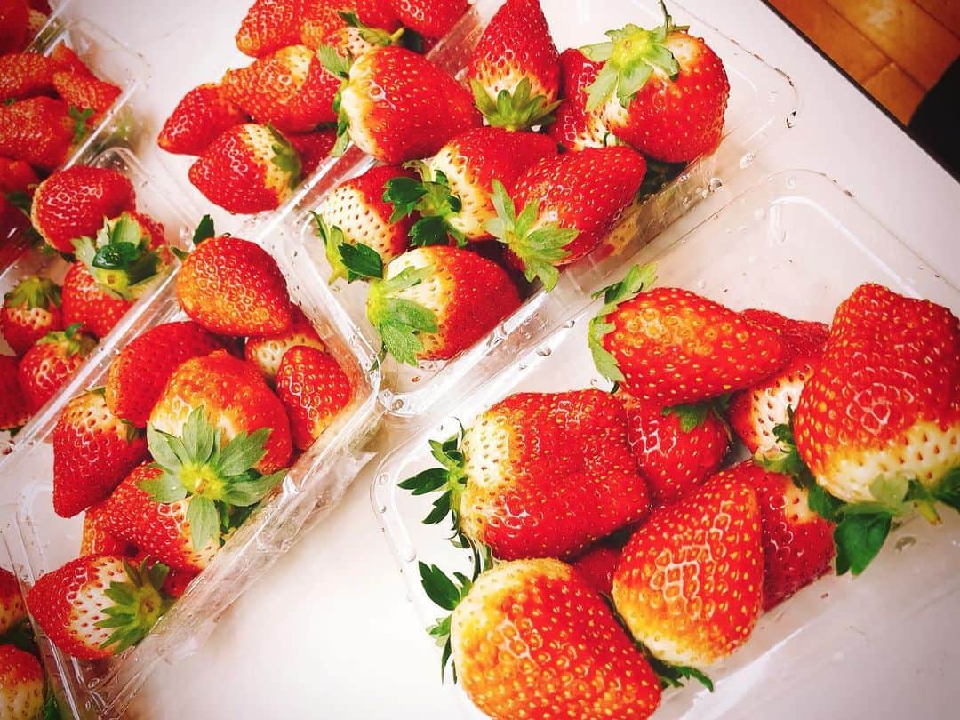 藤原絵里さんのインスタグラム写真 - (藤原絵里Instagram)「・ いちごの差し入れ嬉しい🍓 ・ #ミュージカル #お稽古 #差し入れ #いちご #苺 #イチゴ #strawberry #strawberries」1月30日 8時45分 - erifujiwara0523
