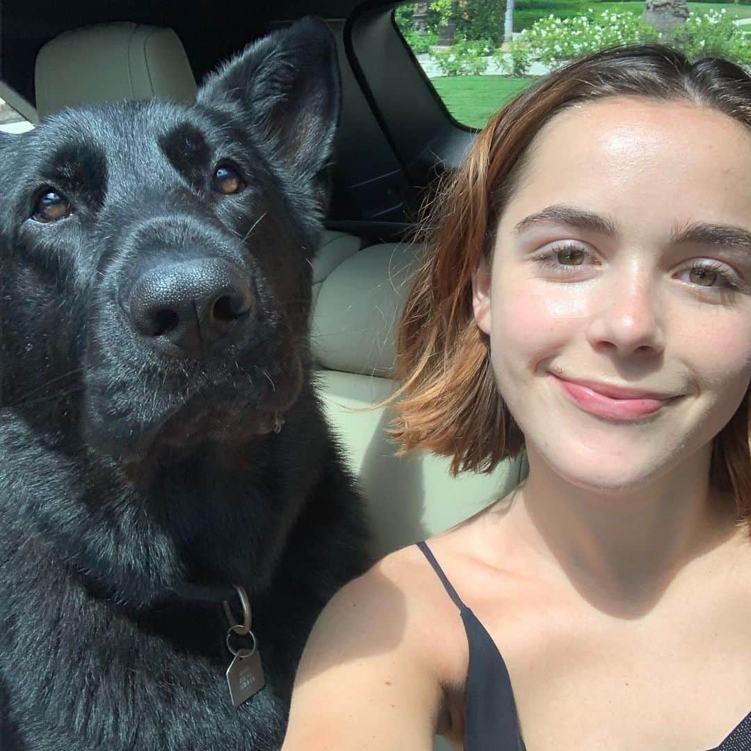 のインスタグラム：「Taking a break from #caos content for DOG CONTENT」