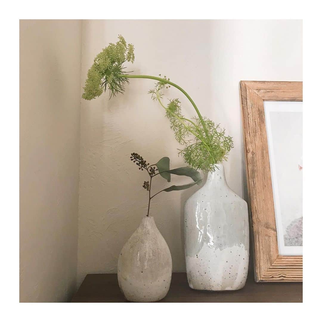 上村若菜のインスタグラム：「気持ちのいい朝🌿 . 一輪挿しにはまる今日この頃。 . #wakamesfavorite #一輪挿し #花器 #思いがけず素敵な作家さんの作品に巡り合う #撮影で使ったグリーンを」