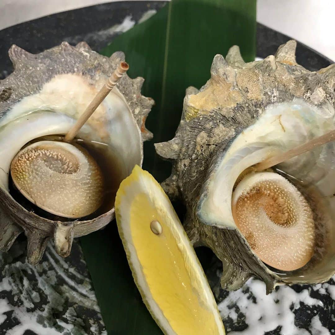 鶏魚 谷町のインスタグラム：「鶏魚です！しーちゃんです🎶 歓送迎会受け付け中です❤️ #歓送迎会ご予約承り中 #さざえの壷焼き #鶏魚 #大阪 #谷町四丁目 #駅近 #セルフ飲み放題 #地域最安値 #コース #座敷 #個室 #貝盛り放題 #ガンガン焼き #あさり #はまぐり #ホンビノス貝 #牡蠣 #さざえ #飲み会 #女将」