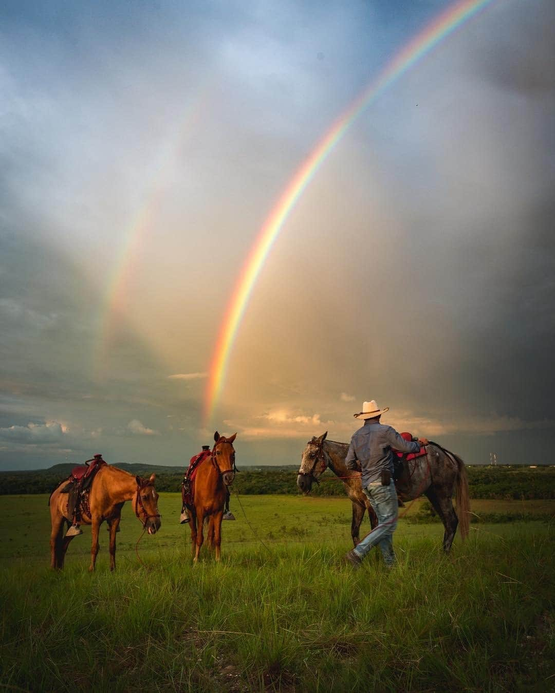 Official RICOH THETAさんのインスタグラム写真 - (Official RICOH THETAInstagram)「“Columbia, magical realism” is the slogan for tourism in the South American country. Can you guess why? 😍 🌈🐎#WHERETOGOWEDNESDAY 📸: @hiltondavila」1月30日 10時31分 - theta360official