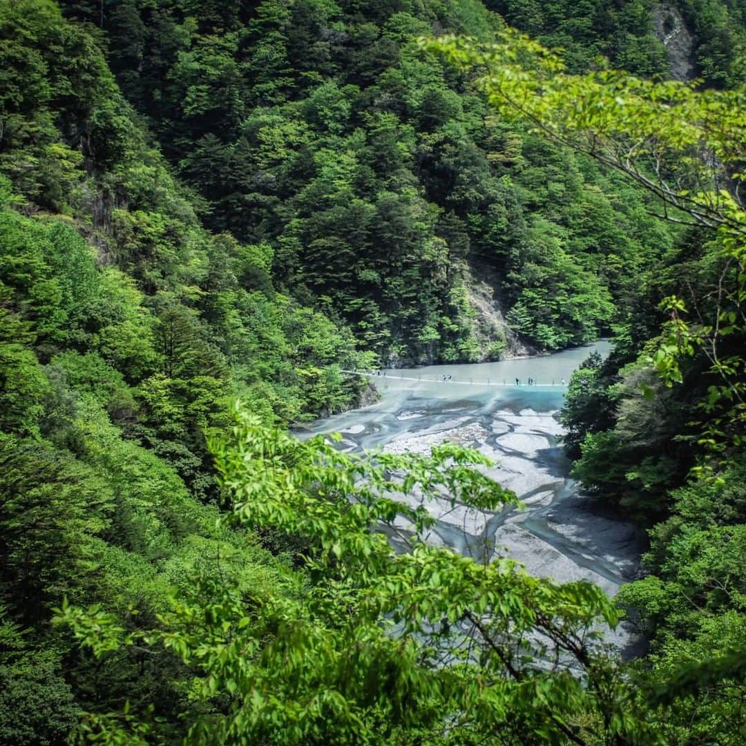 SelvaRey Rum JAPANのインスタグラム：「寸又峡の吊り橋からエメラルドグリーン湖面を眺めて一休み。」