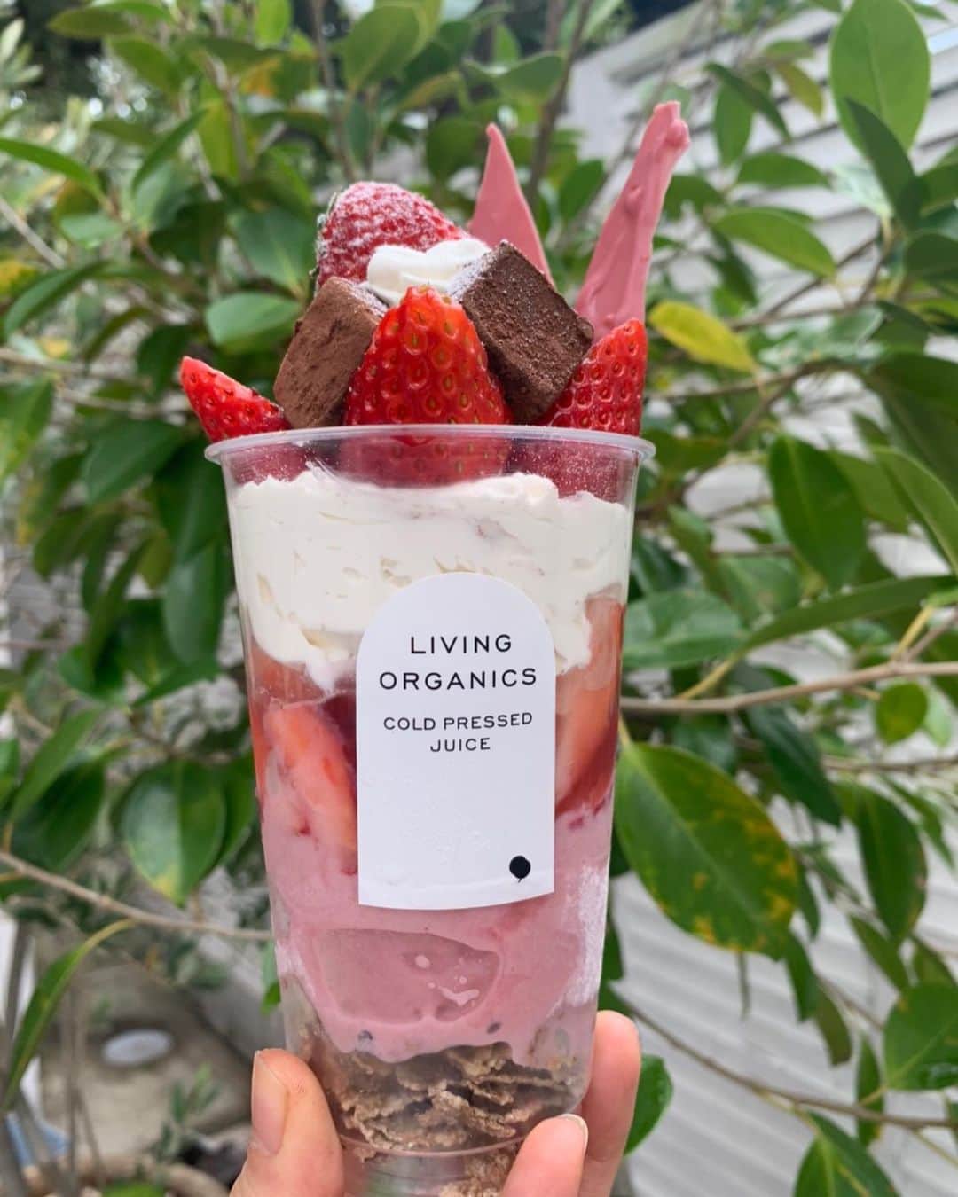 livingorganics juice&place 芦屋のインスタグラム：「こんにちは！ living organics芦屋店では 2/1（土）よりValentineまでの限定【strawberry chocolate parfait】の販売をSTART致します🍓  紅ほっぺがゴロゴロ入った自家製苺ジュレ/ヴァローナ社・カライブを使用した自家製生チョコレート/今話題の第4のチョコレートと言われるルビーチョコレートをトッピングしたバレンタインにぴったりな贅沢parfaitになっております！  ルビーチョコレートは着色料・フレーバーなどは一切使用せず、カカオ本来が持つ色で、フルーティな酸味がある今とても話題のチョコレートです。 まだ食べたことがない方は是非当店のparfaitで食べてみて下さい！ すっごく美味しいです☺︎！ 皆様のご来店心よりお待ちしております！  #ルビーチョコレート#生チョコ#strawberrychocolateparfait#Valentineparfait#strawberryparfait#いちごパフェ#いちごparfait#紅ほっぺ#豆乳ホイップ#締めパフェ#ご褒美パフェ#livingorganics#livingorganic#cafe#coldpressedjuice#healthyfood#coffee#arabicacoffee#foodphotography#smoothie#yoga#神戸カフェ#sweets#芦屋カフェ」