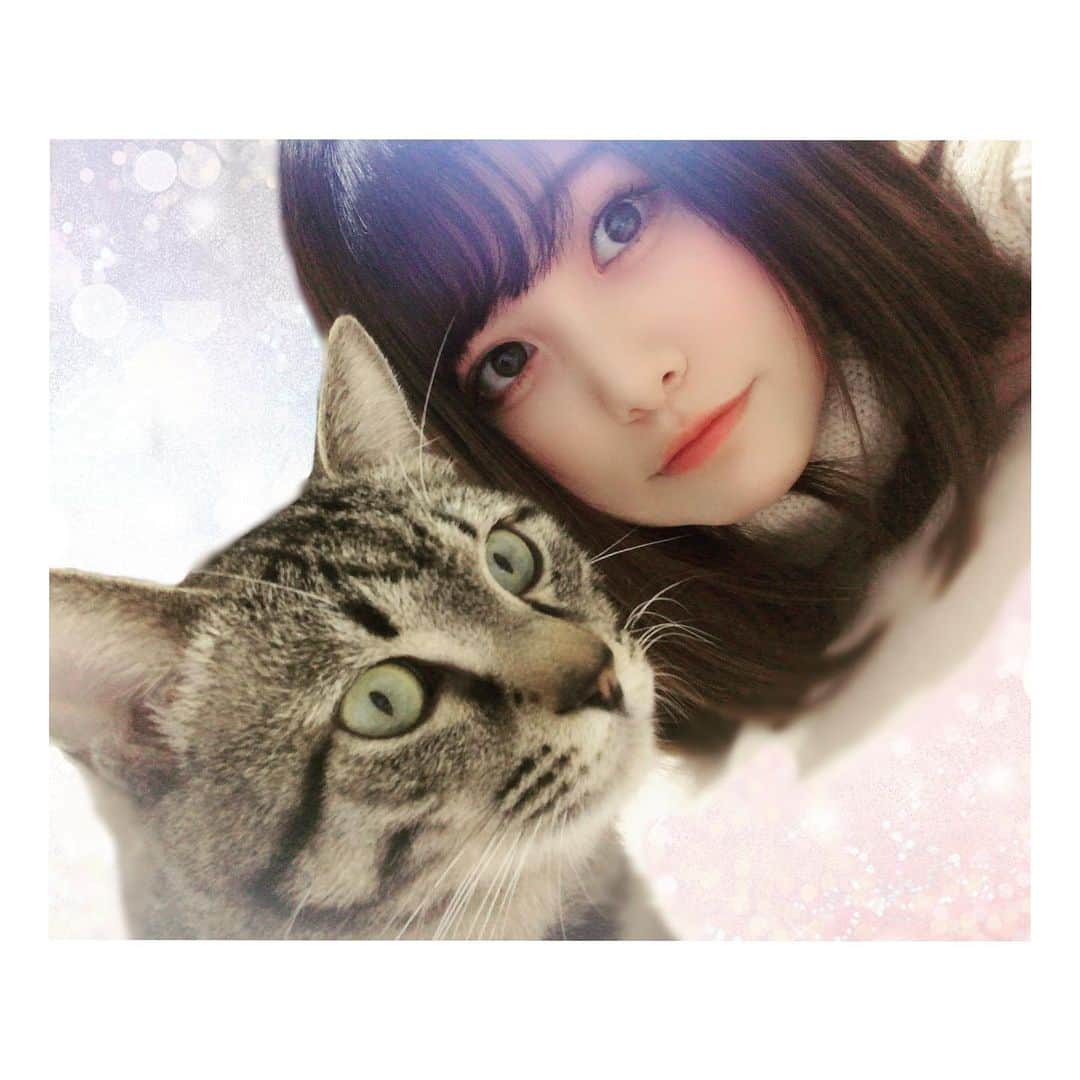希咲智美さんのインスタグラム写真 - (希咲智美Instagram)「にゃん🐈」1月30日 11時34分 - tomomiii_0509