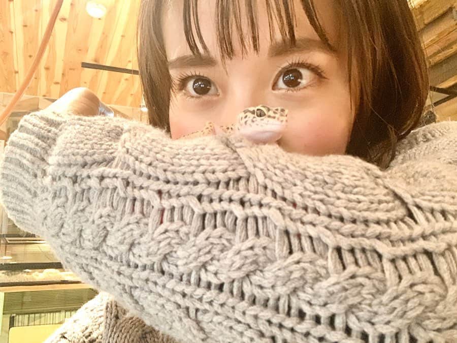 yuco_yoshidaさんのインスタグラム写真 - (yuco_yoshidaInstagram)「虫はどう頑張っても苦手やけど、爬虫類はイケます🦎🐍 特にトカゲが可愛くてすき♡可真人でたらふく焼き鳥食べてから爬虫類カフェに行ってそのままえいとおうかはお泊まり♡小さい時からのお友達といっぱい遊んで終始楽しそうで何よりやった🥰❤️✨ ・ ・ #幸町可真人  #スネークカフェ」1月30日 11時30分 - yuco_yoshida