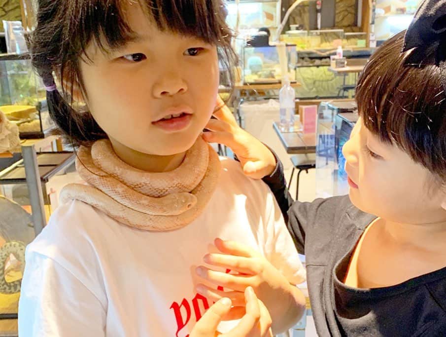 yuco_yoshidaさんのインスタグラム写真 - (yuco_yoshidaInstagram)「虫はどう頑張っても苦手やけど、爬虫類はイケます🦎🐍 特にトカゲが可愛くてすき♡可真人でたらふく焼き鳥食べてから爬虫類カフェに行ってそのままえいとおうかはお泊まり♡小さい時からのお友達といっぱい遊んで終始楽しそうで何よりやった🥰❤️✨ ・ ・ #幸町可真人  #スネークカフェ」1月30日 11時30分 - yuco_yoshida