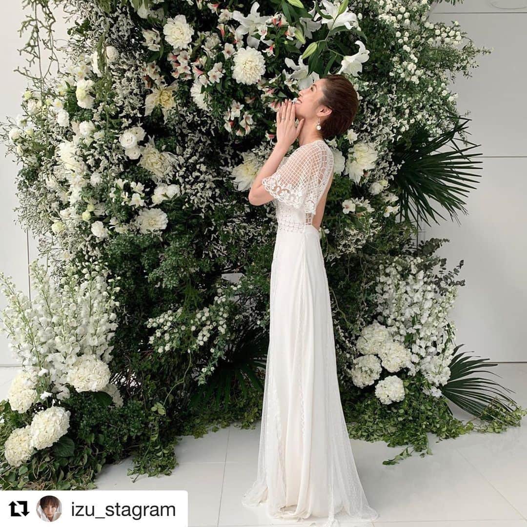 NOVARESE Dress Officialのインスタグラム