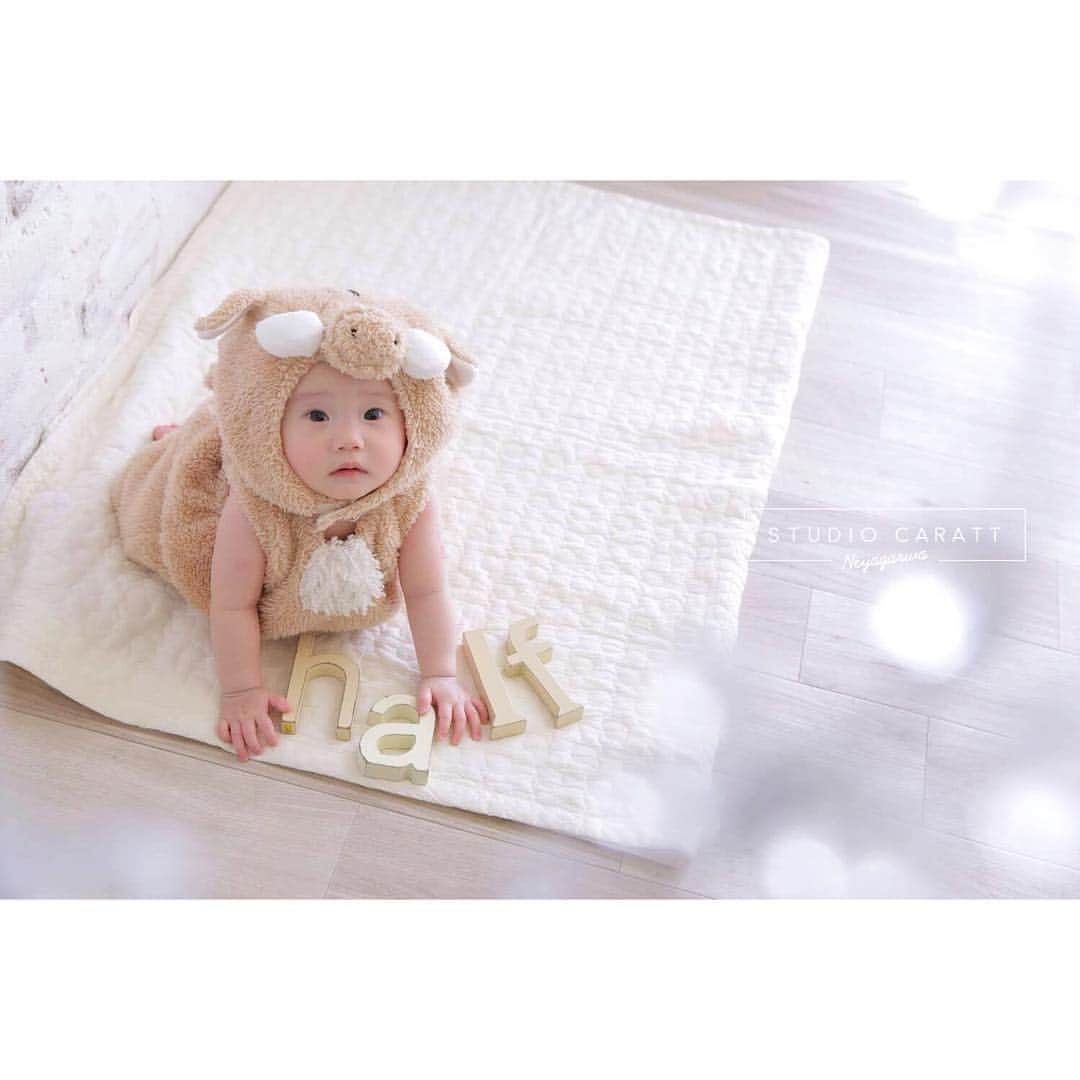 スタジオキャラット 寝屋川店のグルメインスタ