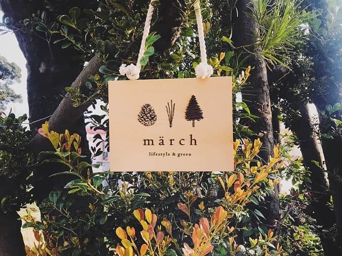 青葉市子のグルメインスタ