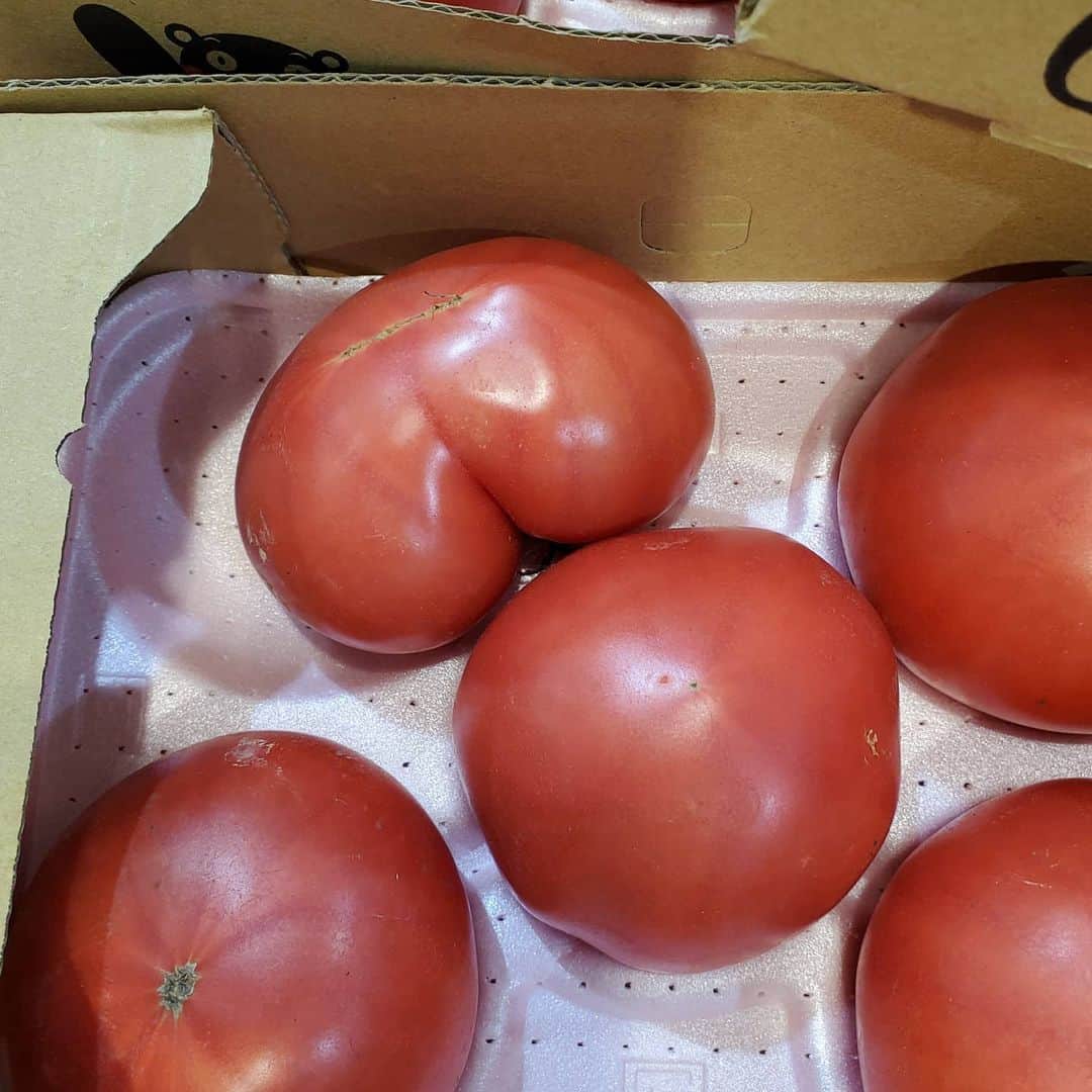 酒井美佳さんのインスタグラム写真 - (酒井美佳Instagram)「ナイキとスーパー行ったら、おしりみたいなトマト発見🍅(笑) ★ #トマト #かわいいトマト🍅」1月30日 12時47分 - mika37mika