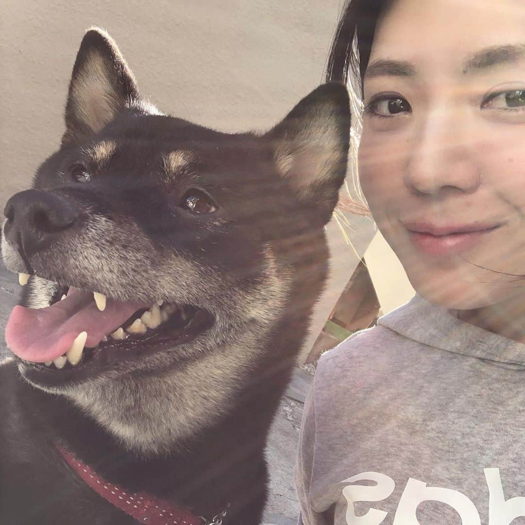 中村香織さんのインスタグラム写真 - (中村香織Instagram)「久しぶりのごまめたん🐕 これから一緒だよ✨ #ごまめ#豆柴ではなかったのか？ #柴犬」1月30日 13時00分 - kaori_nakamura1001