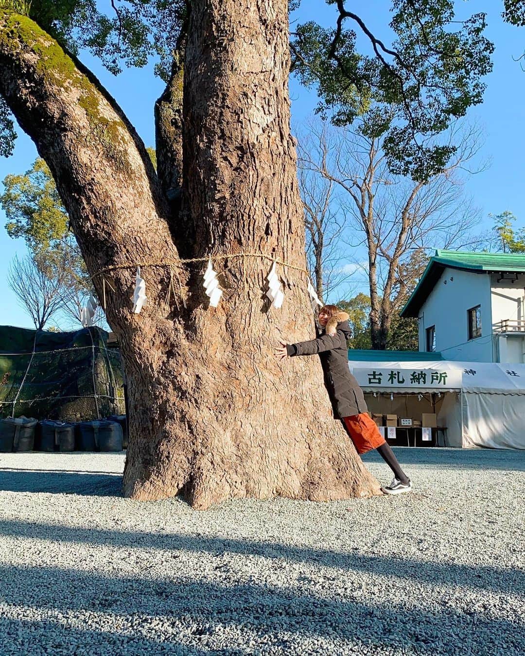 大友愛さんのインスタグラム写真 - (大友愛Instagram)「熊本城🏯 完全修復まで20年かかるそうです。 実際に見て震災の大きさを感じました。  とっても大きな木に わたしがエネルギーもらいました💛  #熊本 #がんばるばい熊本」1月30日 13時44分 - ai_dayooon