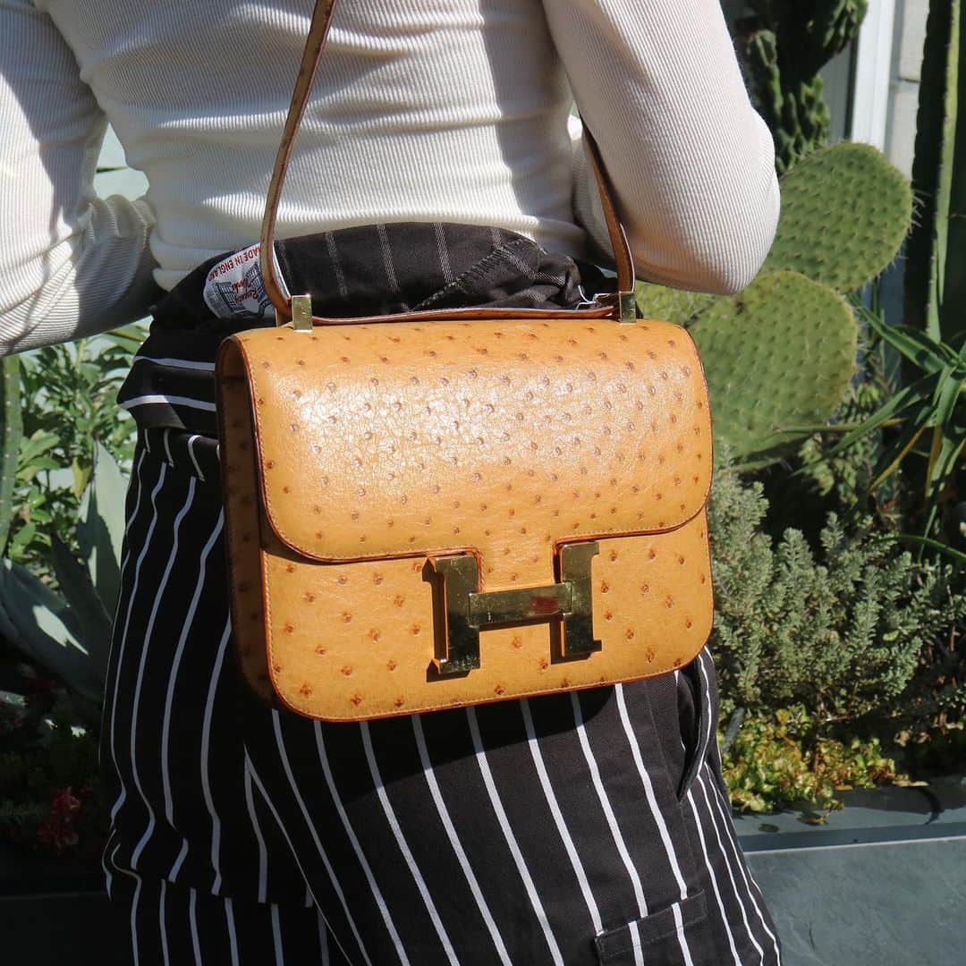 Vintage Brand Boutique AMOREさんのインスタグラム写真 - (Vintage Brand Boutique AMOREInstagram)「Vintage Hermes ostrich Constance23 from 1992.  #constance #constance23 #ostrich #コンスタンス #コンスタンス23 #オーストリッチ  Free Shipping Worldwide✈️ DM for more information ≫ ≫ ≫✉️ info@amorevintagetokyo.com  #ヴィンテージ #エルメス  #ヴィンテージエルメス #ヴィンテージブランドブティック #アモーレ #アモーレトーキョー #表参道 #青山 #東京 #hermes #vintage #vintageHermes #hermesvintage#amoretokyo #amorevintage #vintageshop」1月30日 14時21分 - amore_tokyo