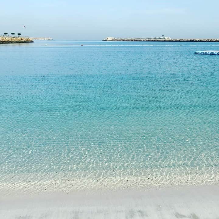渋谷慶一郎のインスタグラム：「寒くて泳げない… can’t swim so cold..」