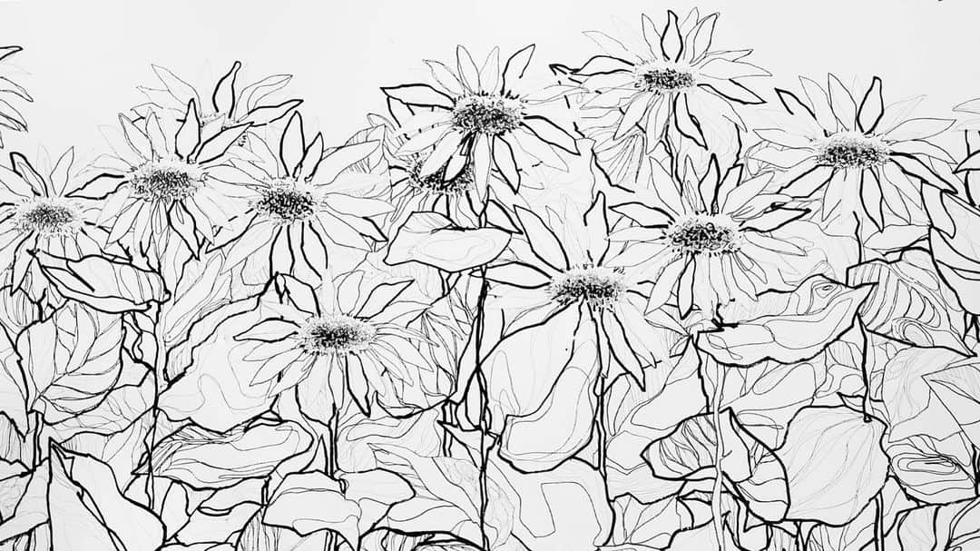 河西歩果のインスタグラム：「とってもかわいい、だいすきなひまわりの絵を見つけました🌻 . #ductcoffeelab #代官山#代官山カフェ #sunflower」