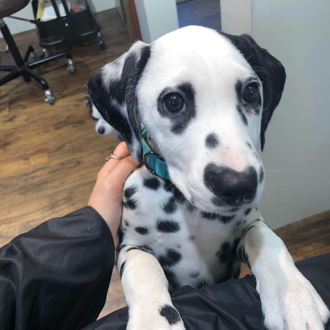 市井紗耶香のグルメインスタ