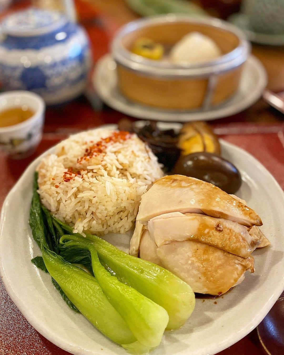 Mai Wakimizuさんのインスタグラム写真 - (Mai WakimizuInstagram)「本日のlunch♡坦々麺セットをオーダーする人が多いなか、私は一択で点心付きの蒸し鶏海南ライスセット♡大阪に来た時は毎回ここでlunchしたい程気に入ってしまった＼(^o^)／満腹！ #wakkingourmet#茶酔楼時ノ葉#大阪」1月30日 15時29分 - wakkin__m