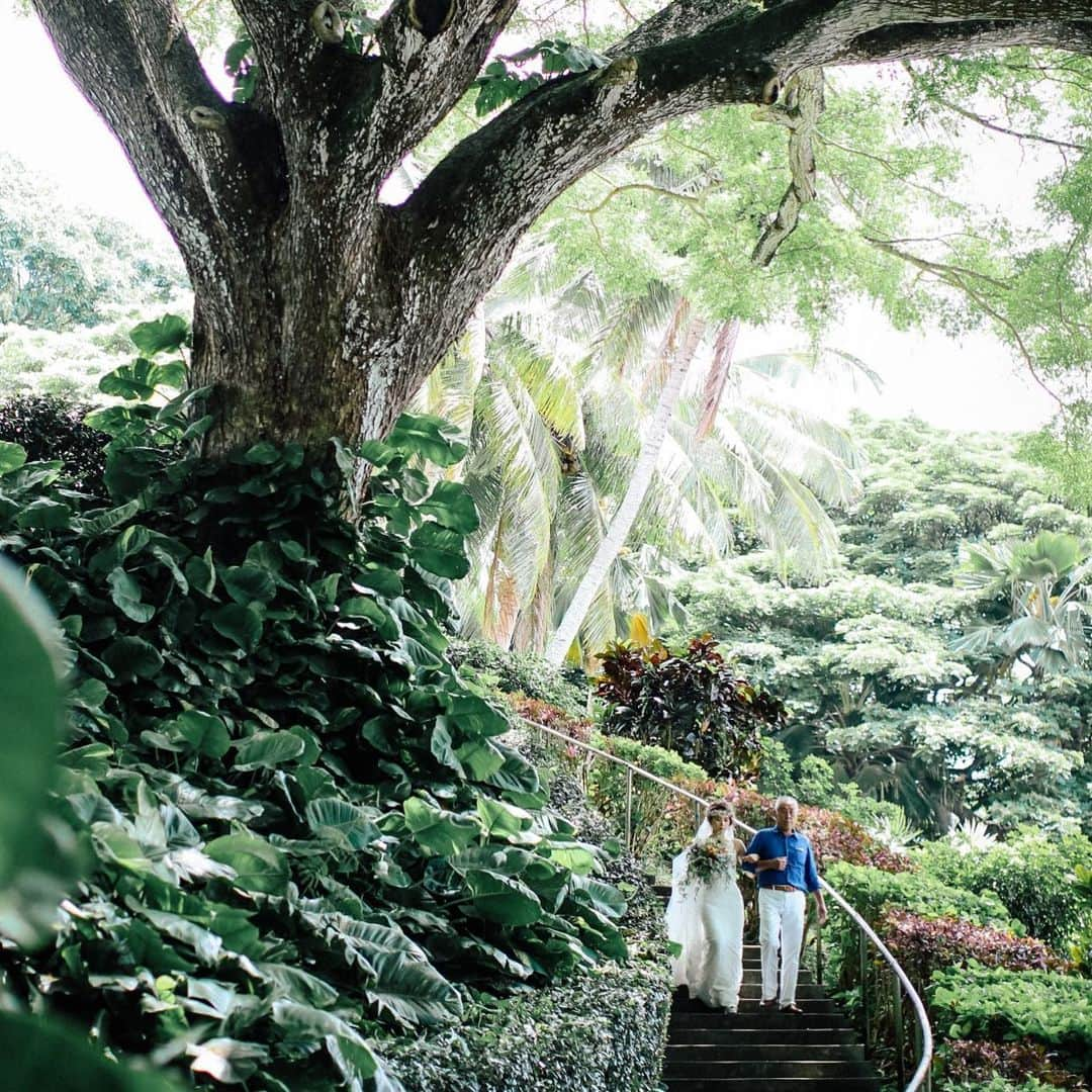 ハワイ挙式のCheersWedding チアーズウェディングさんのインスタグラム写真 - (ハワイ挙式のCheersWedding チアーズウェディングInstagram)「*﻿ ハワイ挙式ならCheers Wedding ﻿ チアーズウェディングは おふたりが大切にしたいことを大切に﻿ ハワイの魅力を知り尽くしたプランナーが﻿ ハワイだからこそ叶う﻿ 特別なハワイウェディングをプロデュースします﻿ ﻿ 「形式やルールにとらわることなく﻿ ハワイウェディングをこころゆくまで楽しんで頂きたい」﻿ ﻿ その一心で、Cheers Weddingはハワイウェディングをお創りしています﻿ ﻿ **************************﻿ ﻿ 【Cheers Weddingのウェディング】﻿ ▫︎選べる会場は邸宅・教会・ホテルなど20会場以上﻿ ▫︎選べるドレスショップは8社以上﻿ (人気のプロのビアスやオーセンティック含む)﻿ ▫︎挙式当日は専属コーディネーターがフルアテンド﻿ ▫︎日本人ヘアメイクアーティストによるヘアメイク﻿ ▫︎現地での入念なリハーサルメイク﻿ ▫︎多彩なカメラマン﻿ ▫︎プランナーは現地在住経験・現地アテンド経験有り﻿ ▫︎日本とハワイにサロンを完備しスタッフがフルサポート﻿ ﻿ ※ チアーズウェディングが取り扱う会場は、リーガルチェックを行い正しいやり方でご案内しております。﻿ ﻿ ***********************﻿ ﻿ ◆ドレス展示付きブライダルフェア◆﻿ 〜ハワイウェディングの全てをお教えします〜﻿ ﻿ 【開催期間】﻿ 2020年2月1日〜2月28日﻿ ※当日のご予約も大歓迎！﻿ ﻿ 【お時間枠】﻿ 平日 ：11:00／13:30／16:00﻿ 土日祝：10:30／13:30／16:00﻿ ※お時間のご調整も致しますので、まずはお気軽にご相談下さいませ。﻿ ﻿ 【ご成約特典】﻿ ハワイウェディング最大10万円オフ！！﻿ ﻿ ﻿ 初めてのご相談や国内と海外で迷われている方も、﻿ 専任のプランナーが一からご案内致しますので是非ご相談下さい。﻿ ﻿ ▼ご予約はこちら﻿ 日本サロン☎︎0120-128-828﻿ ハワイサロン☎︎＋1-808-926-6611﻿ ﻿ ***********************﻿ ﻿ 【お問合せ】﻿ https://www.cheerswedding.jp﻿ ☎︎0120-128-828﻿ 平日11:00〜19:00／土日祝10:00〜19:00.﻿ ﻿ ◆ウェディングパーク海外﻿ チアーズウェディングで検索！﻿ https://foreign.weddingpark.net/agentlist/100063/﻿ ﻿ ◆ウェディングフォトはこちら﻿ @cheers_photowedding ﻿ ﻿ #チアーズウェディング﻿ #チアーズウエディング﻿ #ハワイウェディング ﻿ #海外ウェディング﻿ #リゾートウェディング﻿ #リゾ婚﻿ #海外挙式﻿ #ハワイ挙式﻿ #ハワイ婚﻿ #新婚旅行﻿ #新婚旅行ハワイ﻿ #ハワイ旅行﻿ #cheerswedding﻿ #hawaiiwedding﻿ #ハワイハネムーン﻿ #ハワイウェディング迷子﻿ #ハワイウェディングプロデュース﻿ #日本中のプレ花嫁さんと繋がりたい﻿ #プレ花嫁﻿ #結婚式﻿ #花嫁準備﻿ #式場迷子﻿ #2020夏婚﻿ #2020秋婚﻿ #2020冬婚﻿ #ガーデンウェディング﻿ #大人ウェディング﻿ #クアロアランチ﻿ #クアロアランチウェディング」1月30日 15時54分 - cheers_wedding