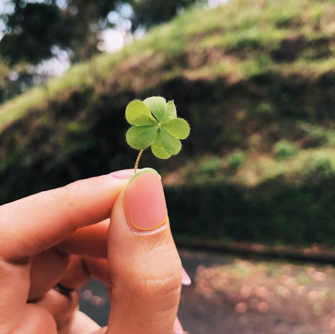 ソニア・スイのインスタグラム：「送給你們爬貓囒山採到的一株四葉幸運草☀️ 祝福每個人都～開年幸運、開工大吉❤️ #🍀」