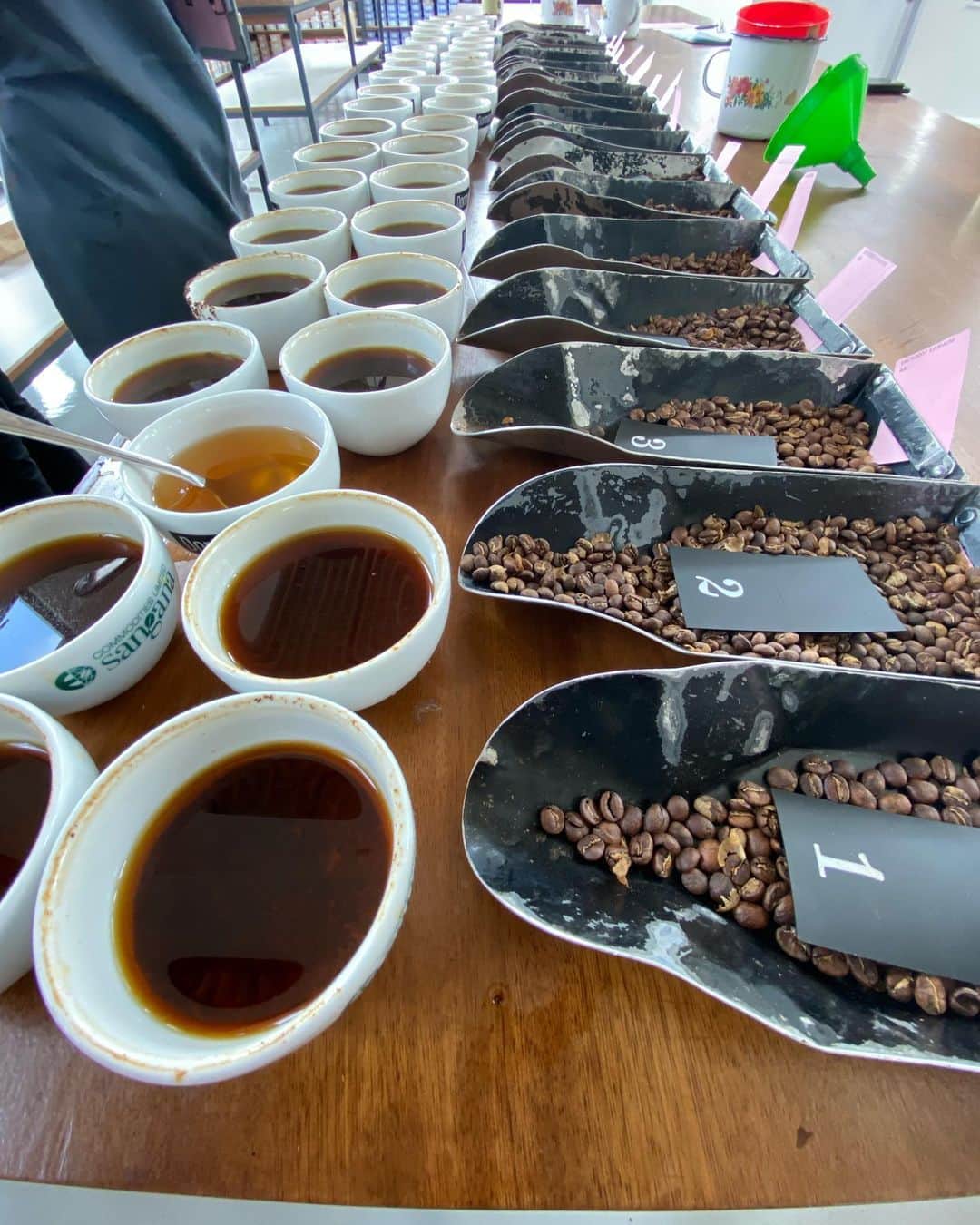 Mel Coffeeさんのインスタグラム写真 - (Mel CoffeeInstagram)「Mount Kenyaを後にし車で3-4時間。RuiruのTatuにあるDorman社に帰ってきました。この数日でカッピングしたものの中からさらに絞り込み素晴らしいコーヒーを。  ケニアのコーヒーは本当に素晴らしいコーヒーばかりです。赤道に近い事もあり、昼間の日差しはとても紫外線が強くかなり焼けました。朝晩は冷え込みますが、この寒暖差がコーヒーをさらに美味しくさせます。  お店もオープンしております。少しまた寒くなってきましたが、ホットコーヒーで温まってくださいませ。  Open 9:00-19:00  #melcoffeeroasters #kenyancoffee #cupping」1月31日 2時23分 - melcoffeeroasters