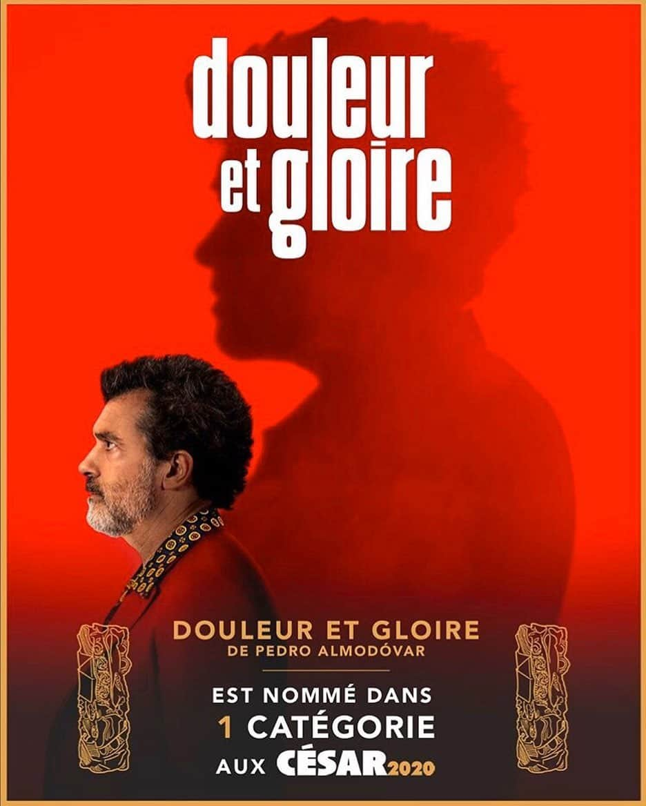 アントニオ・バンデラスさんのインスタグラム写真 - (アントニオ・バンデラスInstagram)「‪#PainandGlory nominated for best foreign film at Cesar Awards!‬ ‪Merci beaucoup @academiedescesar!‬ ‪___‬ ‪#douleuretgloire @pathefilms @eldeseo_ @sonyclassics #césar2020 ‬」1月31日 2時28分 - antoniobanderas