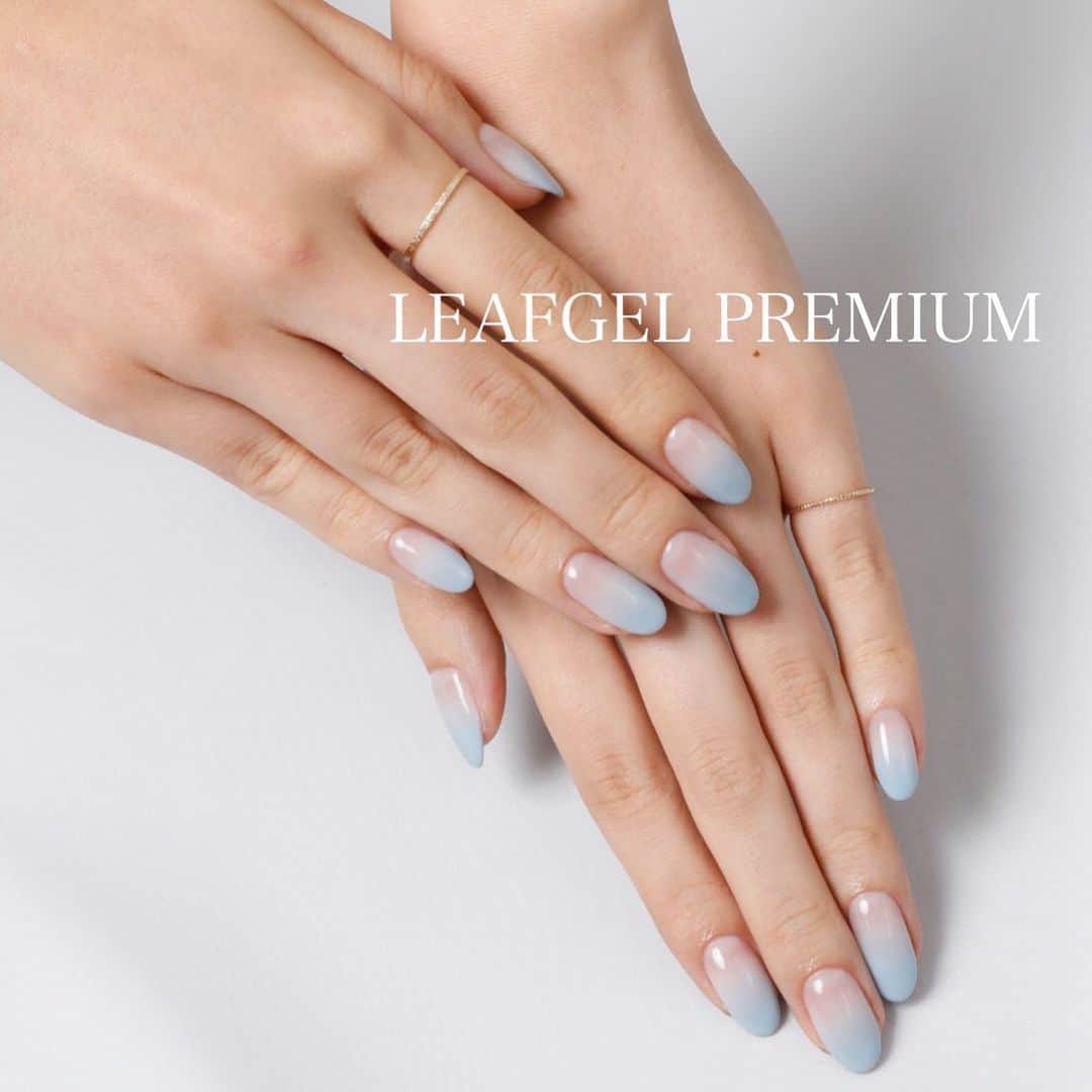 LEAFGEL PREMIUMさんのインスタグラム写真 - (LEAFGEL PREMIUMInstagram)「ヴィンテージシアーシリーズのブルー#453 ブルーベル・ミストでカラーグラデーション💅﻿ くすみ感があり落ち着いたブルーなので幅広い年齢層の方にオススメです⭐️﻿ #leafgelpremium #leafgel #gel #nail #blue #gradation #vintagecolor」1月30日 17時54分 - leafgel_premium