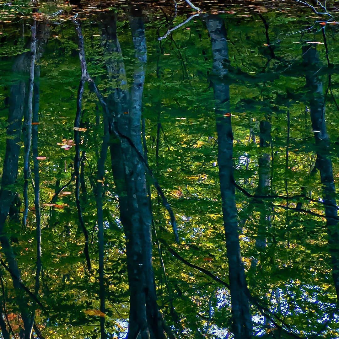 tomohiro koshikaのグルメインスタ