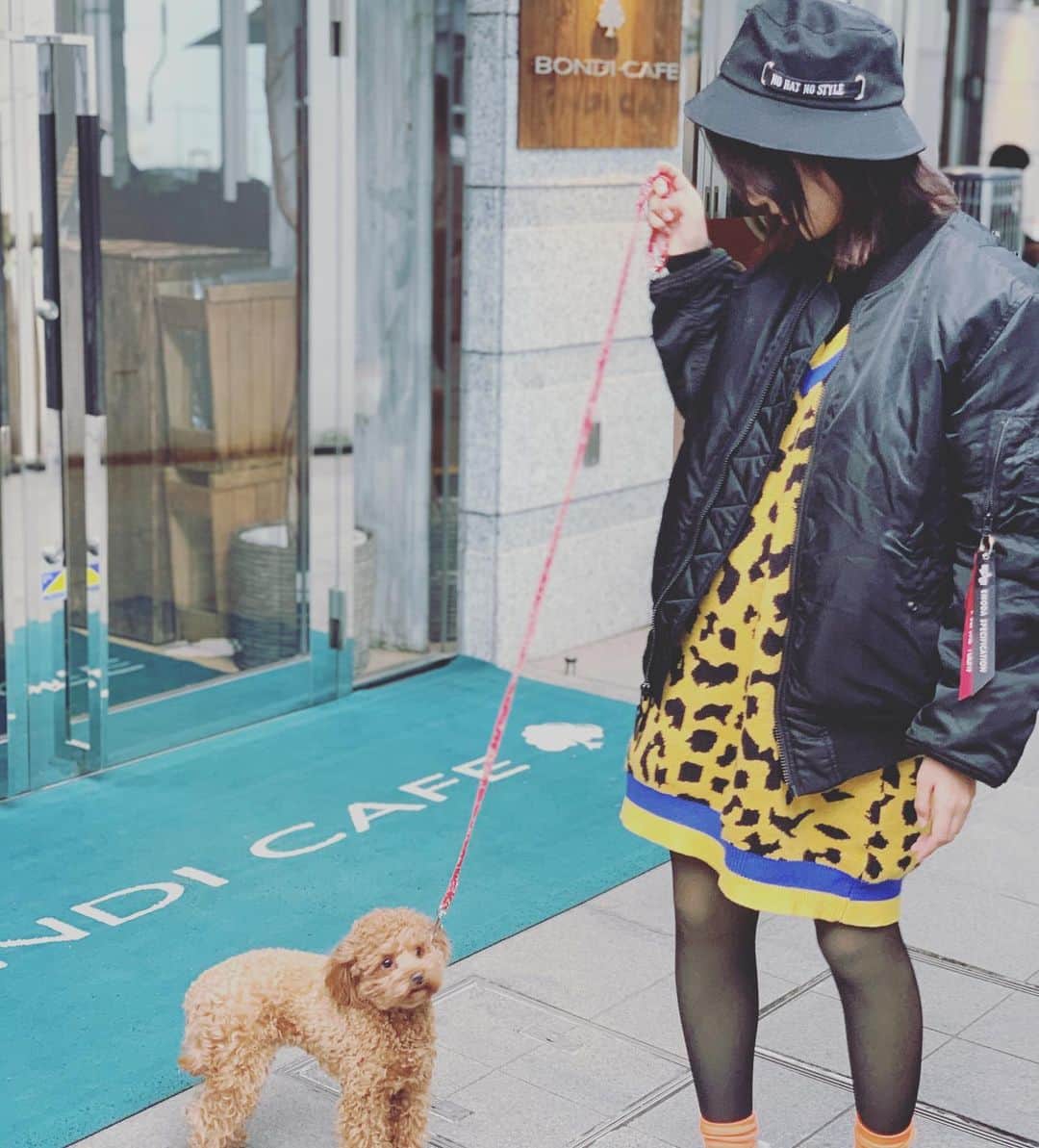 水川スミレさんのインスタグラム写真 - (水川スミレInstagram)「Love love love I’m a dog lover💖  #dogcafe #dogstagram」1月30日 18時10分 - mizukawasumire