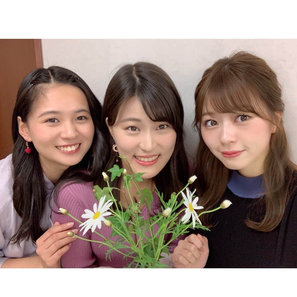 竹内里奈のインスタグラム