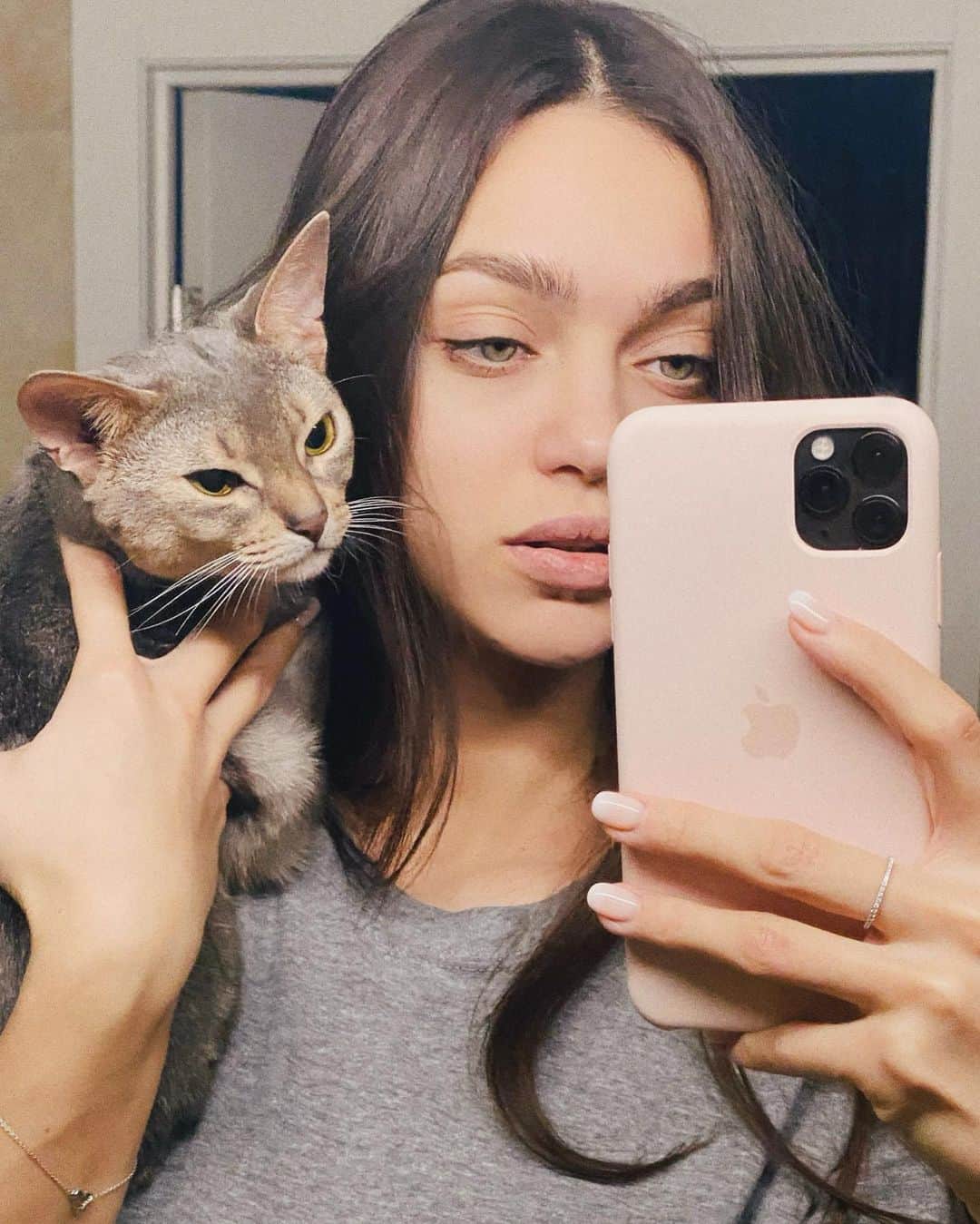 Zhenya Katavaのインスタグラム：「Стёпик ♥️ Совсем уже взрослый Кот .」