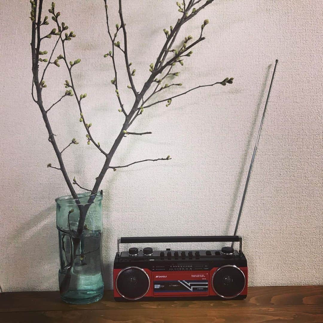 山田義孝さんのインスタグラム写真 - (山田義孝Instagram)「🧠🧠🧠 もうすぐ春だ。」1月30日 20時04分 - yamadayositaka