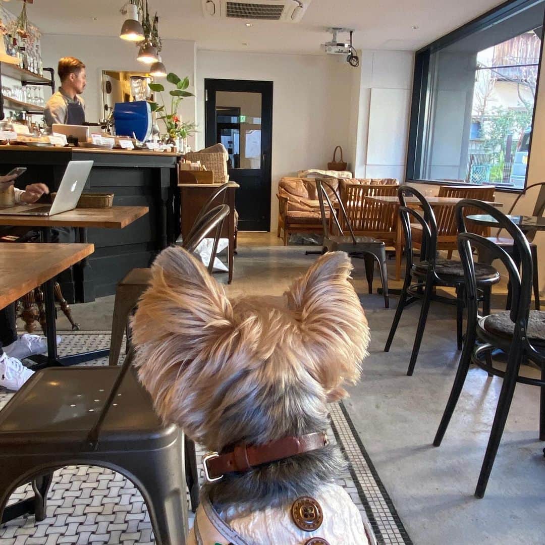 Rubyのグルメインスタ