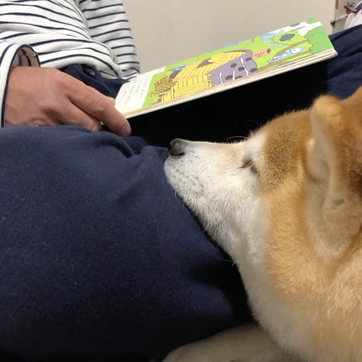 いなりのインスタグラム