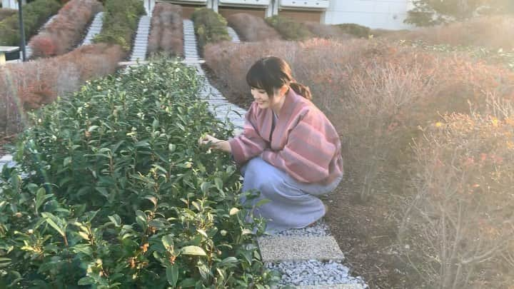 浅井麻里のインスタグラム