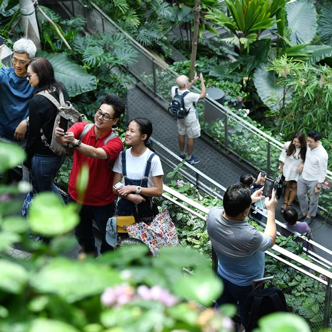 日本経済新聞社さんのインスタグラム写真 - (日本経済新聞社Instagram)「チョウが舞う森や虹のかかる滝。年間6500万人以上が訪れるシンガポールのチャンギ国際空港はまるでテーマパーク。英スカイトラックスが発表する「世界ベスト空港」で7年連続1位に選ばれています。乗り換えの待ち時間も退屈せず涼しげな滝の音に癒やされます。=野岡香里那撮影 https://s.nikkei.com/3174nOV #チャンギ国際空港 #シンガポール #ChangiAirport #Singapore」1月30日 20時57分 - nikkei