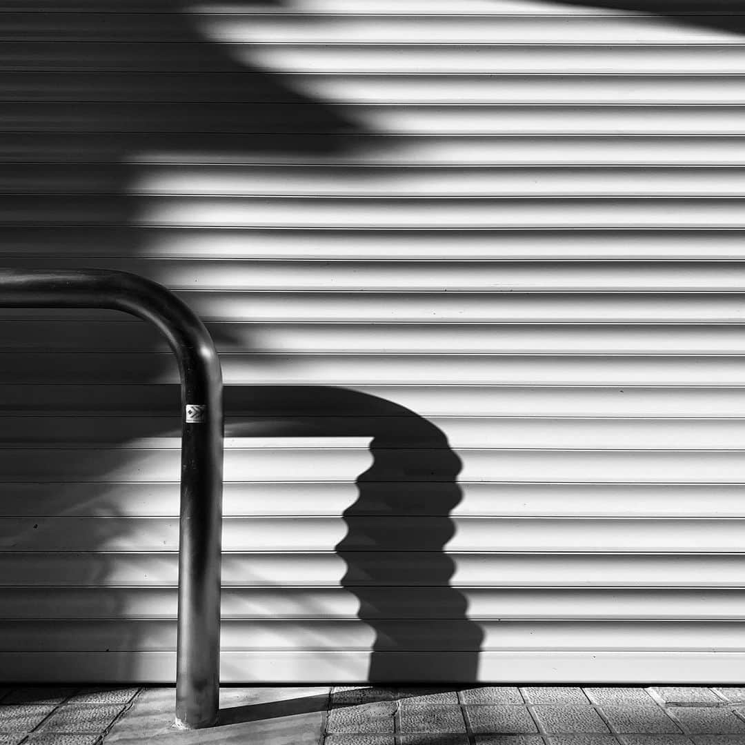naotakeのインスタグラム：「柵 - A fence / iPhone XR & Snapseed, 20200131 . . 寒さが緩むと、とたんに眠りが深くなる。 . . #spicollective #royalsnappingartists #infamous_family #rsa_main #infinity_photo_cult #2_fineart #jp_gallery_member #jp_gallery_bnw #trb_bnw #wp_bnw  #bnw_life #bnwlife_member #bnw_life_shots #bnw_captures #world_bnw #top_bnw #team_jp_ #team_jp_モノクロ #ig_energy_bw #ig_nihon #streetphotographybnw #igersjp #blackandwhite #bnw #bnwphoto #monochrome #bw #bnwphotography #ShotOniPhone #shotoniphoneXR」