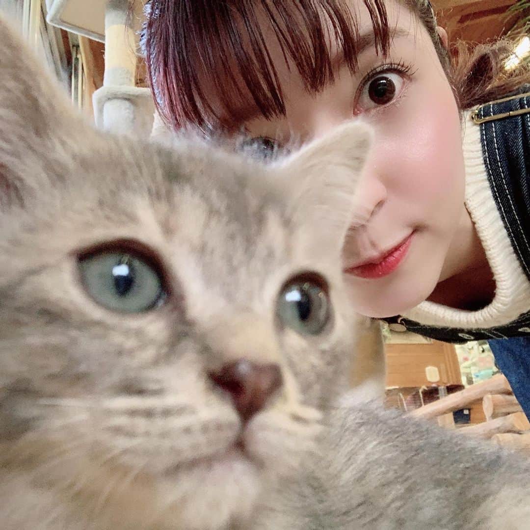 のインスタグラム：「動物が大好きすぎて終始可愛いしか言ってなかったです … ああ … 可愛い … #RSK #３時のおやつ では #玉野市 にある #渋川動物公園 へ行ってきました！ ウサギ、アヒル、ウコッケイ、イヌ、ネコ、ウシ、ウマ、ヒツジ、ヤギ、キンカジュー、フェレット、、、 干支制覇しそうなくらい動物がたくさん！しかも個人経営なんですって！ おもちゃ王国の横にあるのでぜひ行ってみてください〜！ 私の夢を実現した場所でした…」