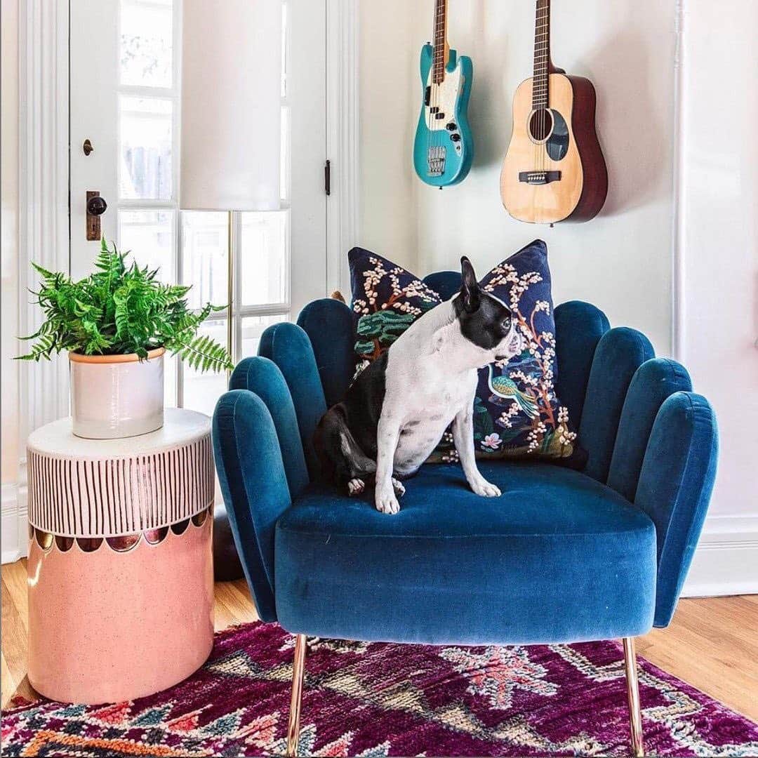 Anthropologieさんのインスタグラム写真 - (AnthropologieInstagram)「Ruff day? Pull up a chair 💙 Photo via @istoriainteriors (link in profile to shop)」1月30日 22時02分 - anthropologie