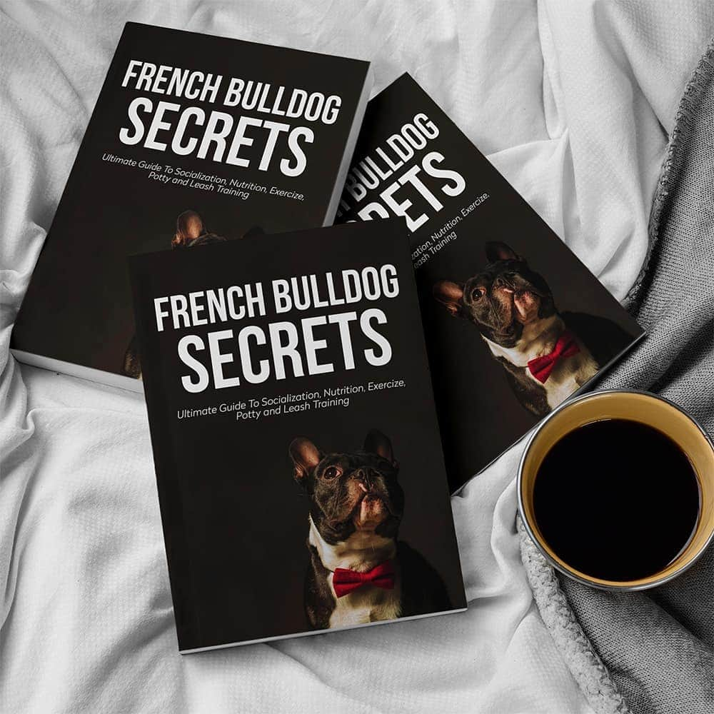 French Bulldogさんのインスタグラム写真 - (French BulldogInstagram)「French Bulldog Secrets Hardcover Book by @frenchie.world 📚📚📚 LINK IN BIO 🔝🔝🔝 ✔ World's bestseller "French Bulldog Secrets" is now available in hardcover option! ✔ This book is ultimate guide, and everything you need to raise your French Bulldog. ✔ If you are a owner or just a french bulldog lover - then this is the most important book you’ll ever find! . . . . . #buhi #batpig #ilovemyfrenchie #frenchiesoverload #frenchbulldogsofinstagram #frenchiesgram #frenchyfanatics #englishbulldog #bulldogs #bulldogfrances #bullyinstafeature #bully #puppylove #puppy #americanbully #dogsofinstagram #dogs #frenchieoftheday #frenchiepuppy #franskbulldog #frenchbull #französischebulldogge #frenchieoftheday #frenchies1 #ilovemyfrenchie #squishyfacecrew #yourdailyfrenchies #frenchielife」1月30日 22時03分 - frenchie.world