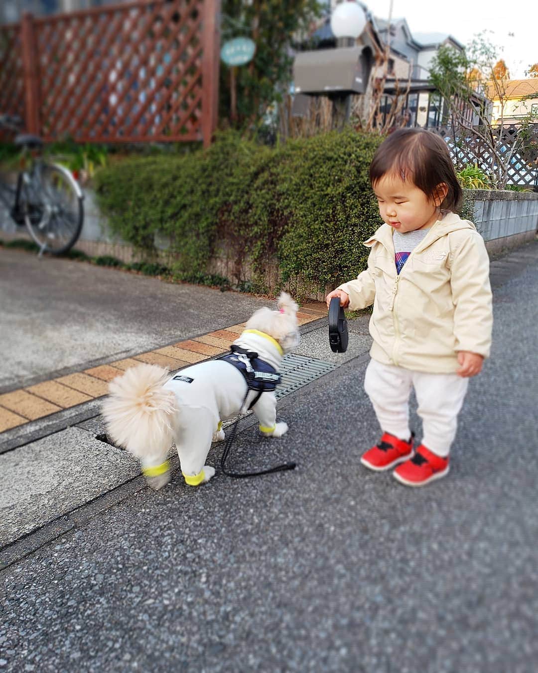 もえむさんのインスタグラム写真 - (もえむInstagram)「with my friends 1歳と3歳と56歳で5メートル散歩🐾 #小さい人間苦手がだいぶ和らいできた #かいぬし感動」1月30日 22時27分 - moem_n
