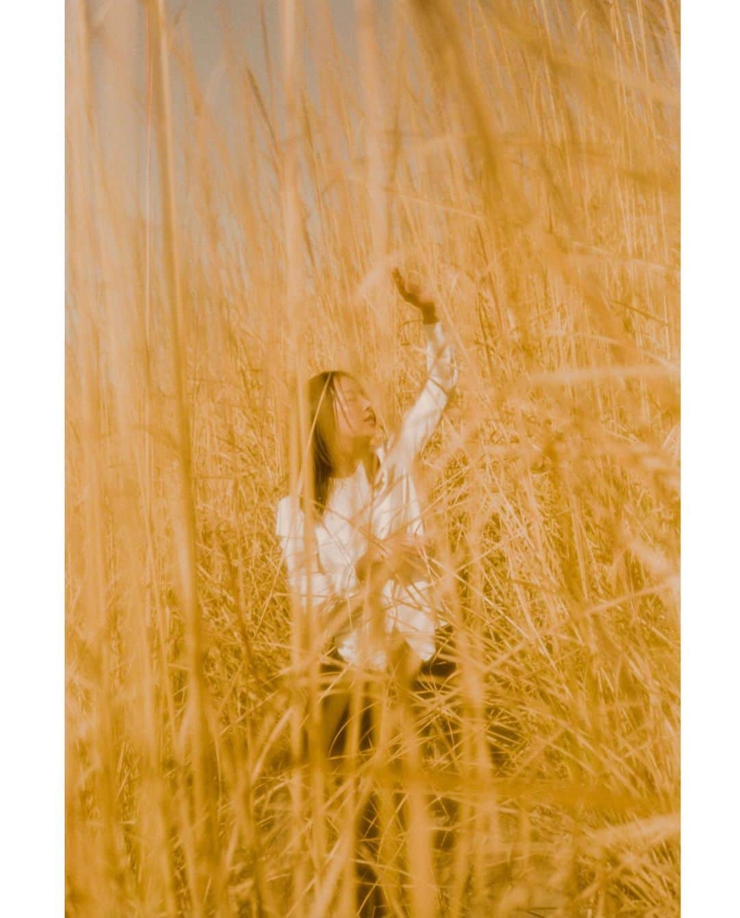 SUGAYA MASAKI / SHIMAのインスタグラム