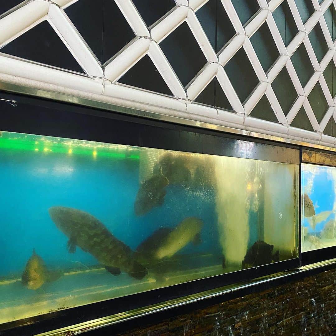 TOGGYのグルメインスタ