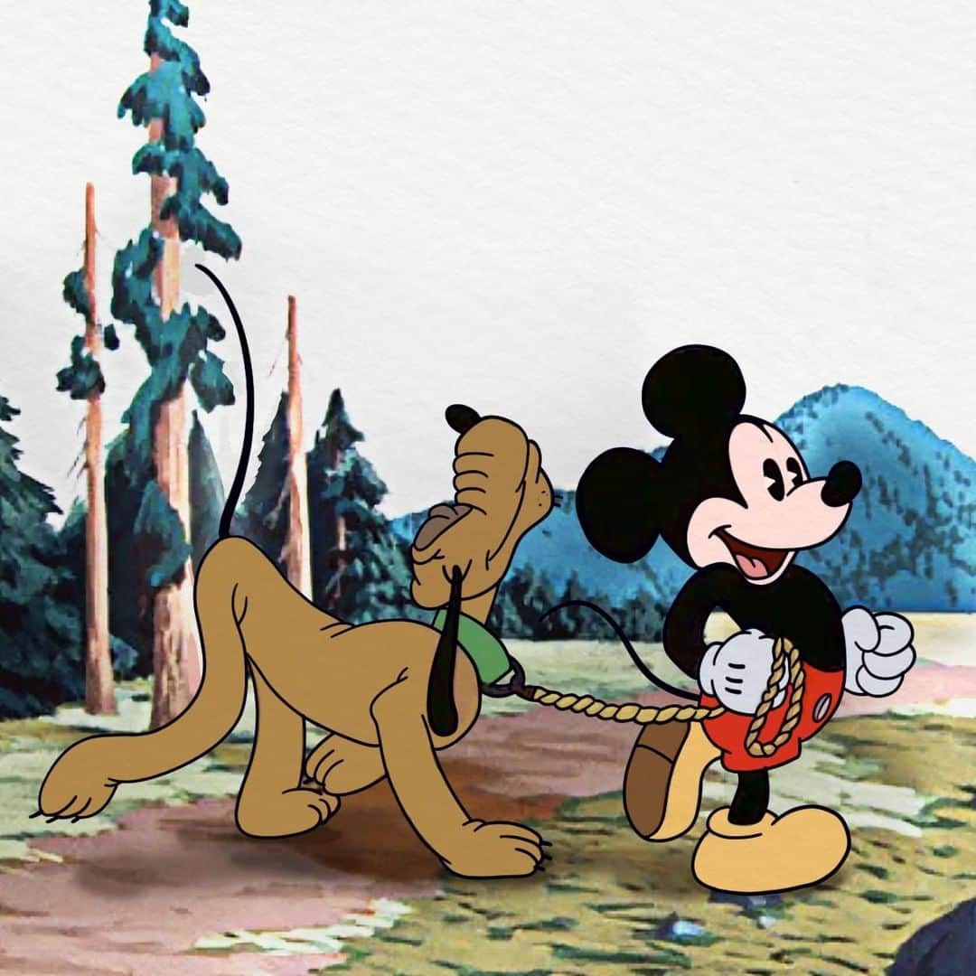 ミッキーマウスさんのインスタグラム写真 - (ミッキーマウスInstagram)「When your pup has a strut! Drop a 🐶if you’d love to take Pluto for a walk. #DogsOfInstagram」1月31日 0時00分 - mickeymouse