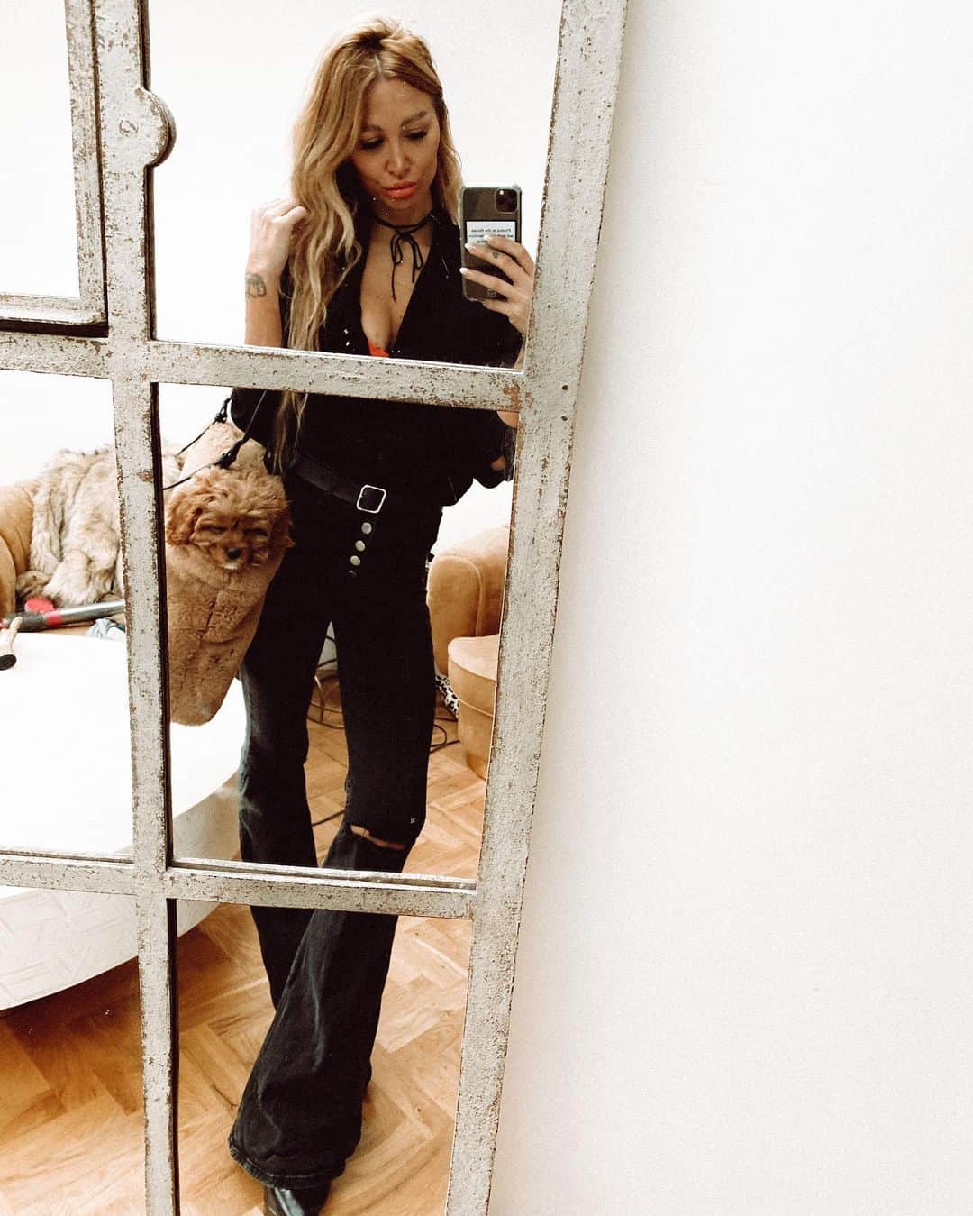 ルー・ティーズデールのインスタグラム：「Spot the dog」
