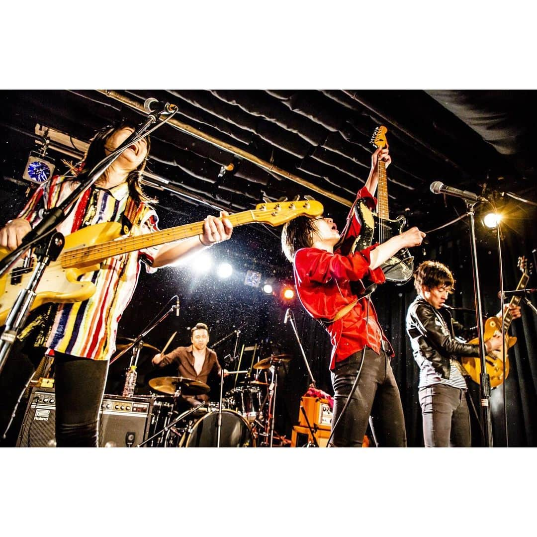 青木カズローさんのインスタグラム写真 - (青木カズローInstagram)「hotspring ﻿ 2020.01.29 @ 名古屋 HUCK FINN ﻿ photo by 青木カズロー(cazrowAoki)﻿ ﻿ #hotspring #写殺﻿ #人間が生きている瞬間﻿ #生きてなきゃ殺せない﻿ #殺してぇから生きてくれ」1月31日 0時23分 - cazrowaoki